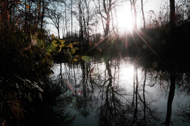fall at leipzig wood