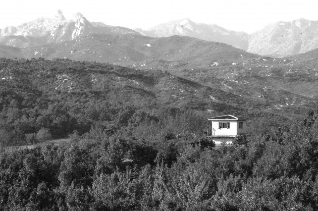 Korea Border